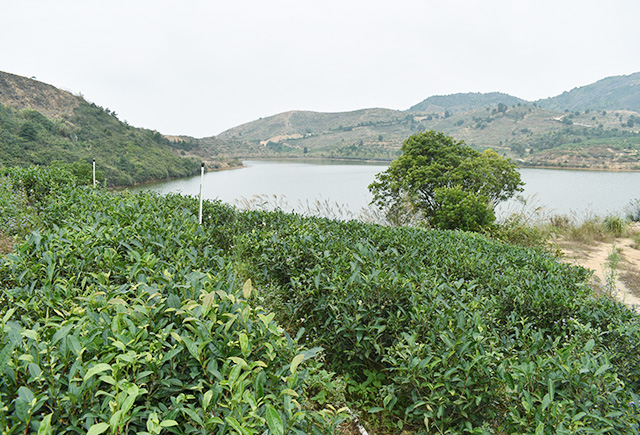 开云手机在线登陆入口
